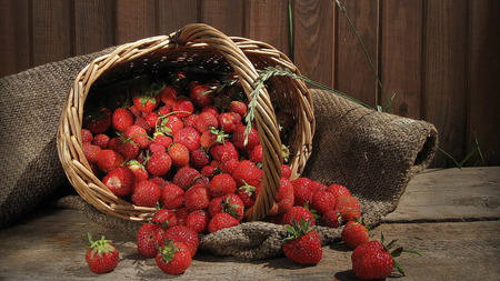 Strawberries - strawberries, nature, hot, red, fruit