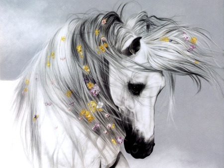 White Horse - flowers, white, animal, horse