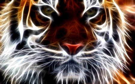 Tiger Fractal  - wallpapers, entropy, tiger, fractal, cat