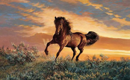 Mustang - powerfull, cavalo, stallion, horse, animals