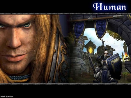 human - human, warcraft