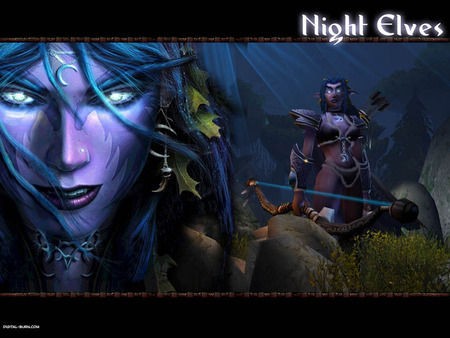 nightelves - warcraft, night elves