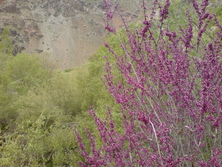 Darband - darband, tehran