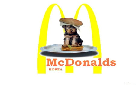 Mc Donalds Korea - korea, burger, fun, mc donalds, dog