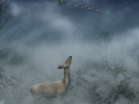 Is this my Imagination - wood, santa, reindeer, snow, night, winter, deer, christmas