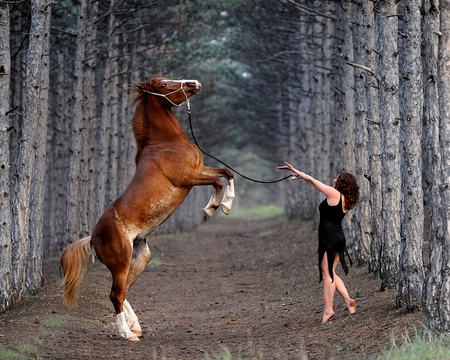 TAMING OF THE SHREW - horse, path, lady, taming, woman, jungle