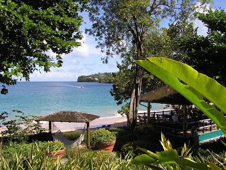 Island - sky, plants, water, island, trees, nature