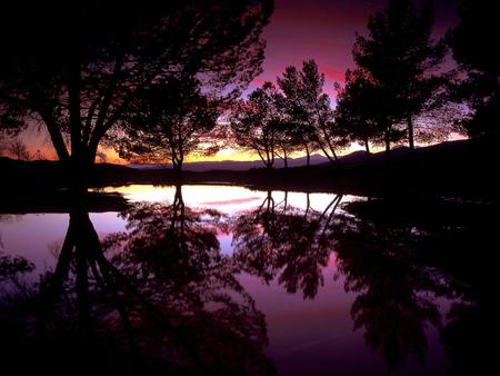 Sunset - nature, sky, trees, water, sunset