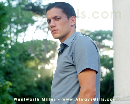 Wentworth Miller - wentworth miller, actors, hot, prison break, tv sieres