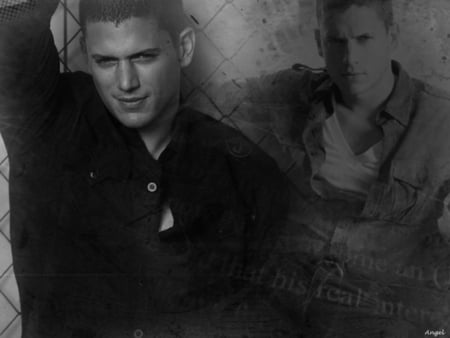 Wentworth Miller - wentworth miller, actors, hot, prison break, tv sieres