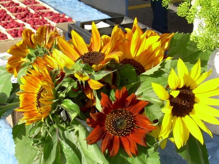 Flower bunch - sunflowers, yellow, red, stems, nice, orange, raspberries, leaves