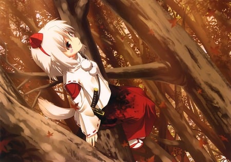 Inubashiri Momiji - sexy, girl, reed eyes, grey hair, touhou, anime, tree, blush, short hair, cute, inubashiri momiji