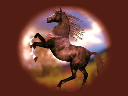 Big, brown and beautiful - free, handsome, rearing, brown, stallion, wild