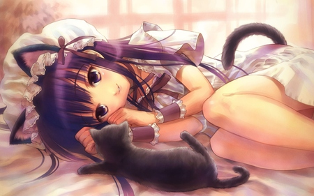 Cute girl - tail, ears, girl, window, cat, eyes, smile, cute