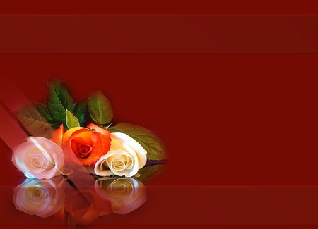 For me, myself and I - white, three, coral, roses, background, pink, red