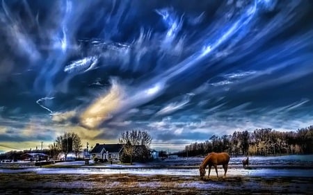 Home Sweet Home - nature, horses, blue, forest, houses, sky