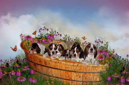 Seven Lovely Sins - sky, adorable, flowers, basket, grass, bassett hound, cute, puppies