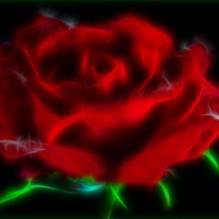 Rose Art