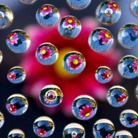 WATER DROP REFLECTION