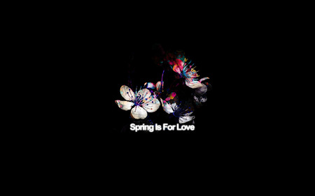 Spring Love - flower, desktop, wallpaper