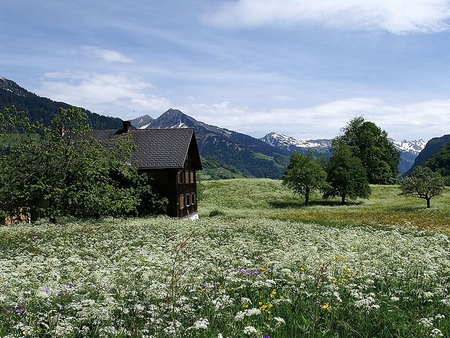 Green over all - fields, nature