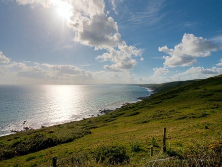 grass field - green, beach, field, grass