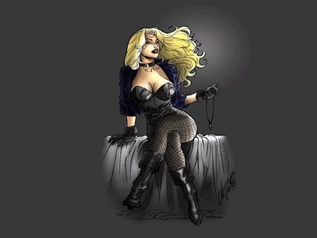 Black Canary - black canary, seductress, gotham girl