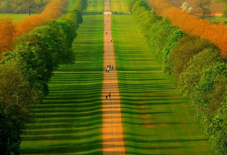 Down of the field - fields, nature