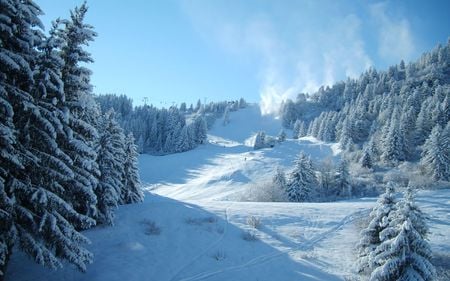 mountain slope - slope, people, trees, winter, descent, elevator, skiers, snow, resort