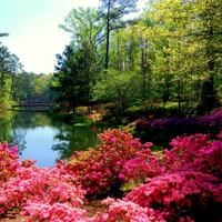 Callaway Gardens