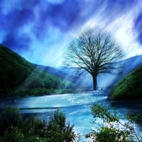 The water tree