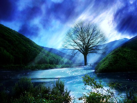 The water tree - rays, sky, hills, clouds, river, light, tree