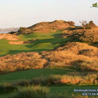 Barnbougle Dunes