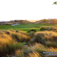 Barnbougle Dunes