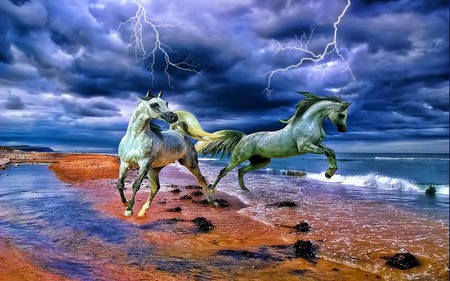 Stuck In Between - nature, thunder lightning, beach, beauty, horse, wave, animals