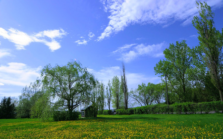 Beautiful Place - sky, houses, clouds, flowers, trees, nature, green, grass