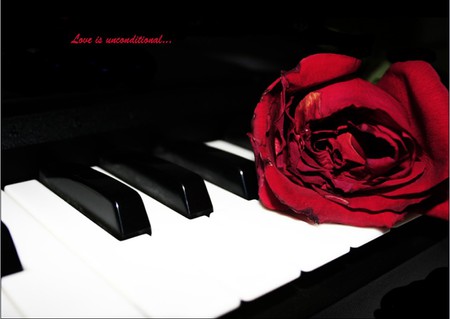 if only... - true, piano, romantic, romance, thought, love, flower, red, rose, thinking