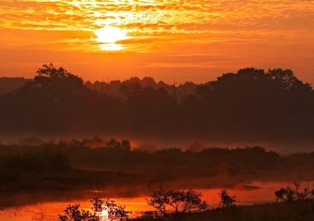 ~Sunrise Over Muscatatuck National Wildlife Refuge~Indiana~ - sky, trees, water, refuge, nature, folige, woods, clouds, river, beautiful, orange, muscatatuck, indiana, sunrise