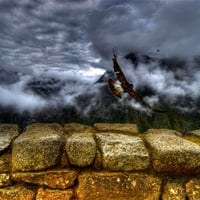 MOUNTAIN CARACARA TAKING OFF