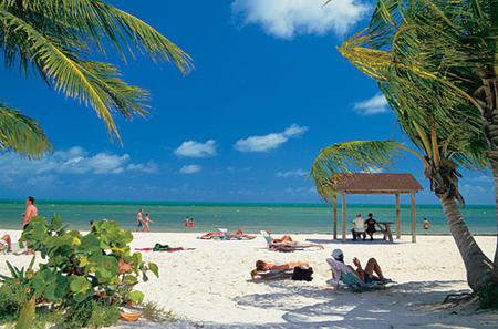 A relaxing day - people, windy, sunbathing, beach, sea, ocean, shadow, sand, palm trees, hut