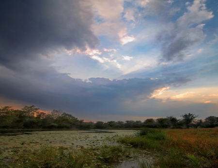 Landscape - nature, fields