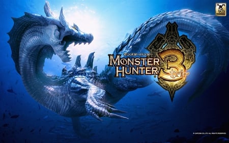 Monster Hunter Tri - monster hunter, wii, nintendo, capcom