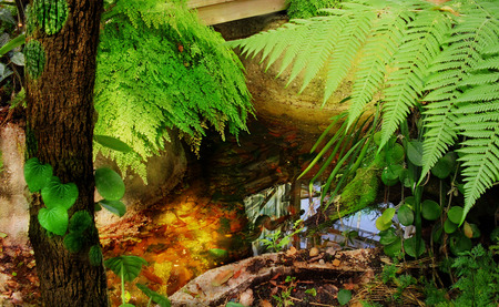 green house - greenhouse, peaceful, pond