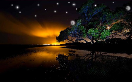 Twinkle Night - river, sparkle, sunset, starry, night, reflection, tree