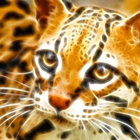 Fractal Ocelot