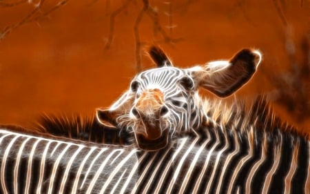 Fractal Zebra - animal, fractal, zebra, wild