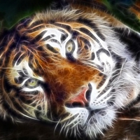 Fractal Tiger