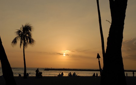 Sunset on the Beach - beach, the, sunset, on