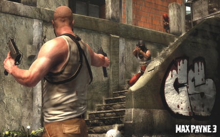 Max Pyane 3-Shoot Out - gun, max pyane 3, hero, videogame, shoot, game, adventure, max pyane, 2010, action