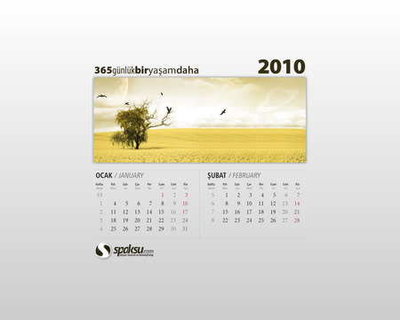 Ocak & Åžubat 2010 - 2010, ocak, subat, calendar